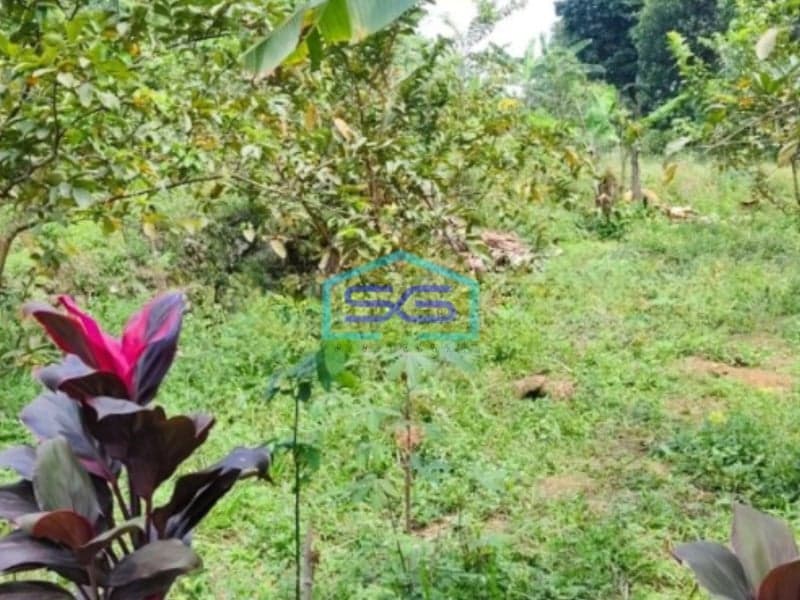 Dijual Tanah di Ciapus Taman Sari Bogor Luas Tanah 100000m2