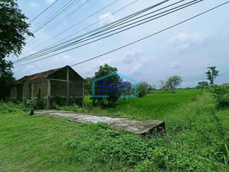 Dijual Tanah Murah Nol Jl Raya Besar Balongpanggang Gresik Cocok Untuk Pabrik Dan Gudang LT 4200m2