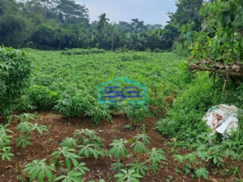 Dijual Tanah di Area Mekarsari Rumpin Bogor Luas 1000m2 SHM