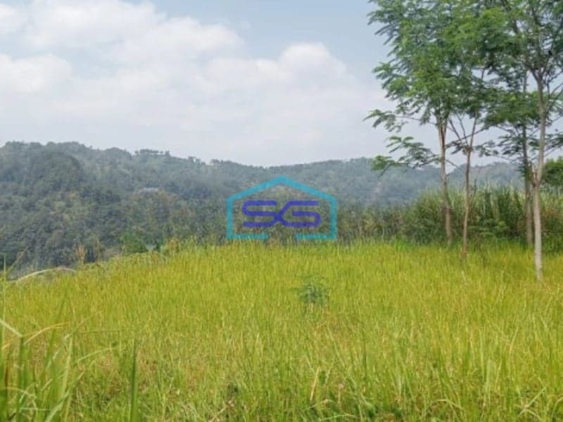 Dijual Tanah KP Wangun Depok Desa Karang Tengah Babakan Madang Bogor LT 10000m2