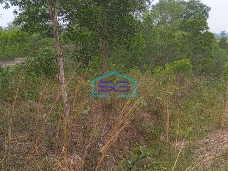 Dijual Tanah Strategis di Talang Buruk Km 7 Palembang Harga Terjangkau!