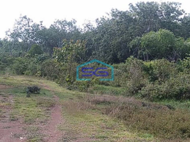 Dijual Tanah di Kab Banyuasin Sumatera Selatan Luas Tanah 21000m2