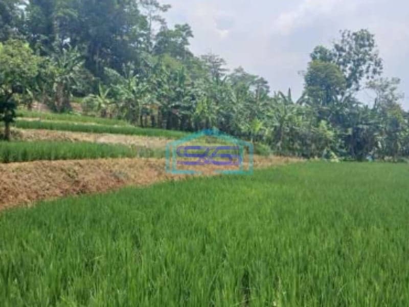 Dijual Tanah Di Jalan Raya Pancawati Caringin Bogor LT 1500m2