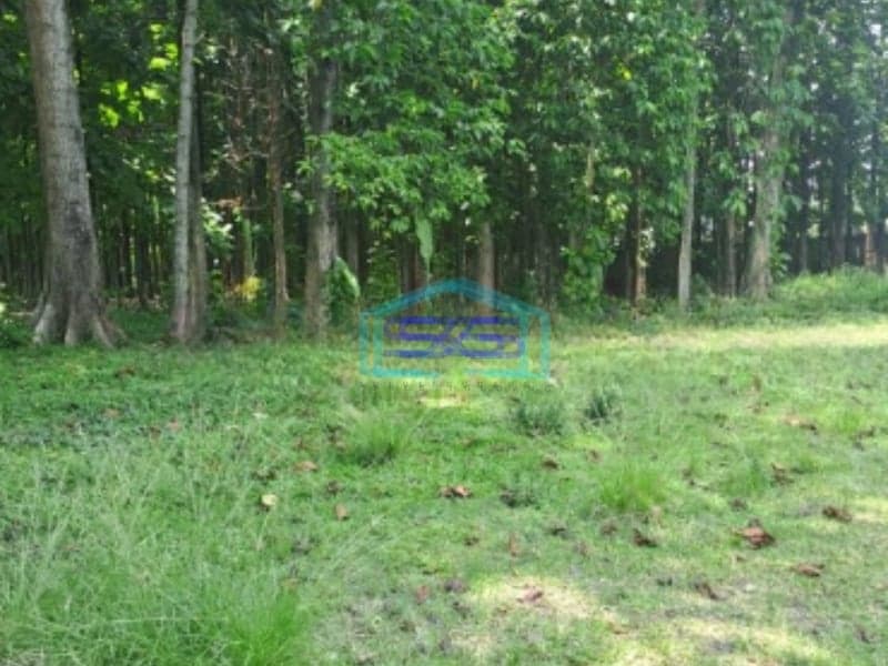 Dijual Tanah di Jalan Raya Babakan Madang Sentul Bogor LT 27000m2