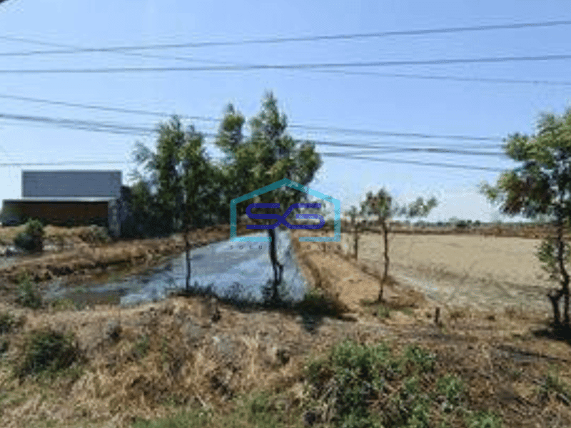 Dijual Tanah Nol Jl Raya Provinsi Gresik Dekat Kota Dan Tol Cocok Untuk Labruk Gudang Dan Perdagangan