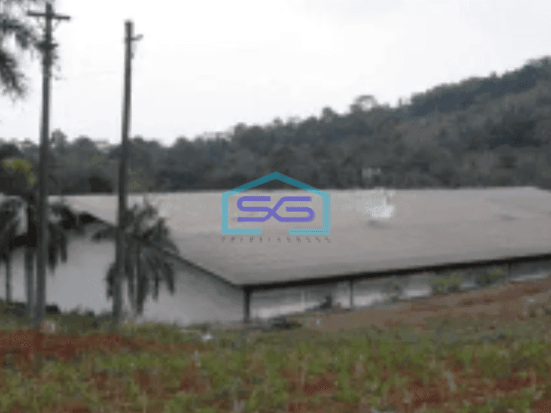 Dijual Pabrik Gringsing Batang LT 50000m2