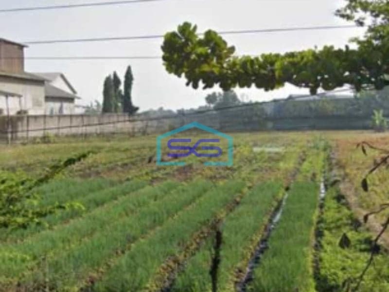 Disewakan Tanah Zona Industri Lokasi Masaran Sragen Jawa Tengah Luas 3600m2