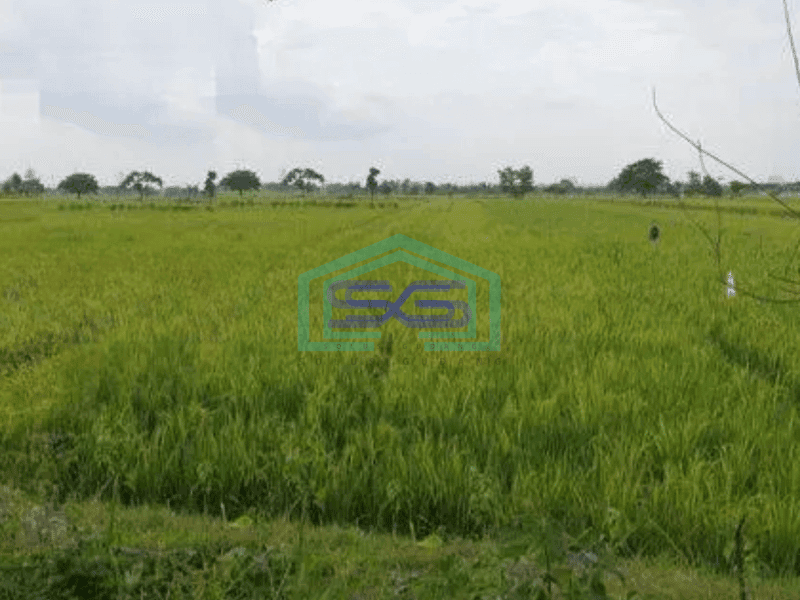 Dijual Tanah sawah di baki dekat solobaru