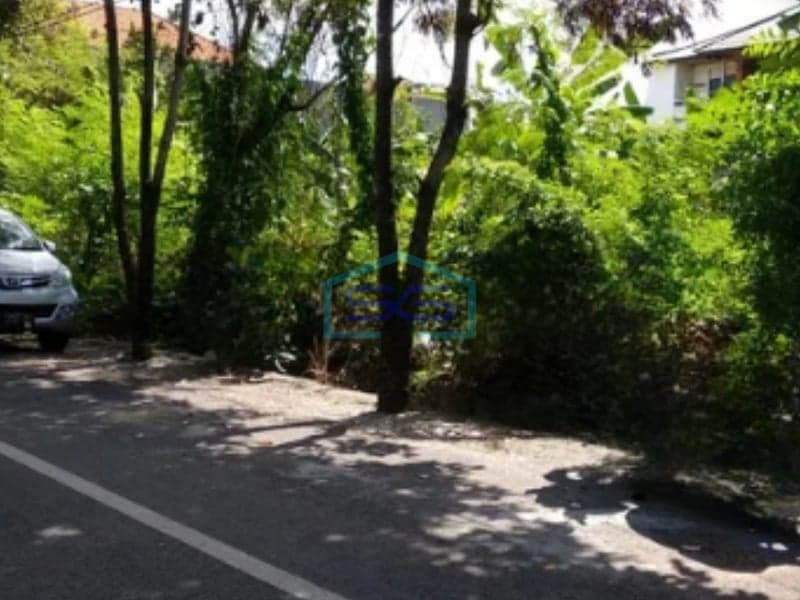 Dijual Tanah Super Murah di Jalan Utama Bedahulu Denpasar Bali