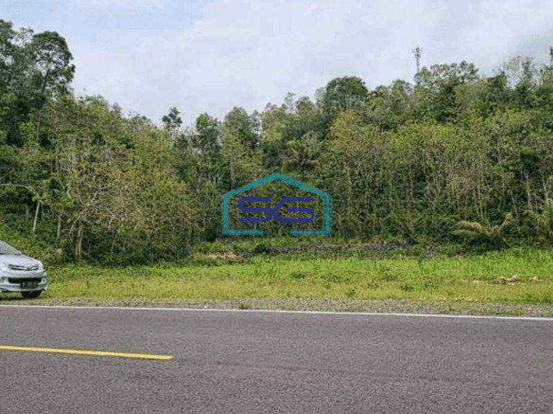 Dijual Tanah Murah Area Girisubo Gunung Kidul Yogyakarta LT 17500m2