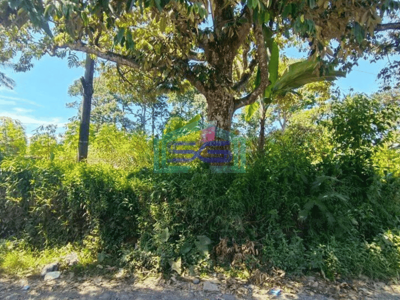 Dijual Tanah Untuk Gudang di Ciambar Sukabumi Jawa Barat