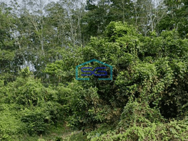 Dijual Tanah Strategis di Pinggir Jalan Raya Lingkis Rambutan Sumatera Selatan LT 4000m2