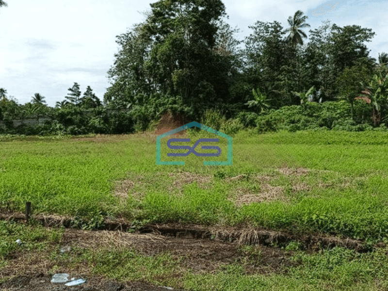 Dijual Luas Tanah 3000m2 di Jalan aa Aramis Manado