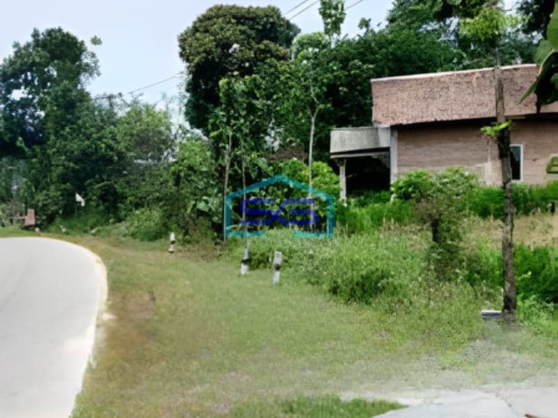 Dijual Tanah Luas 100000 m² Lokasi Strategis di Sragen Jawa Tengah