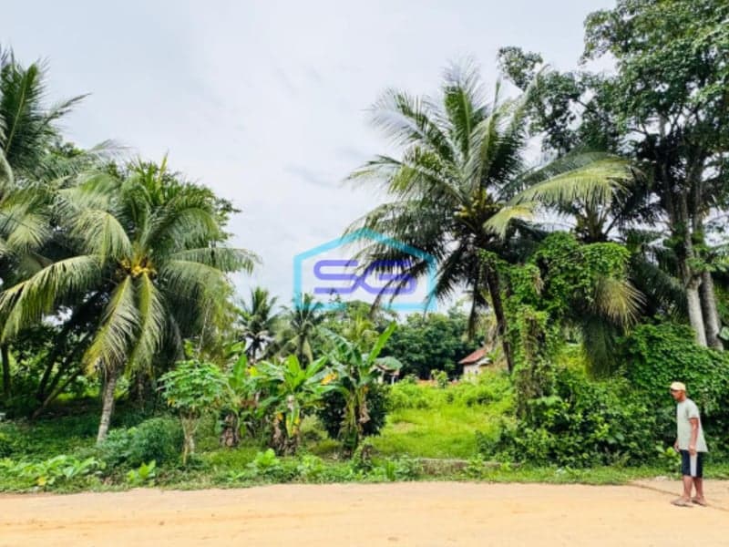 Dijual Cepat Tanah Murah Jalan Lebong Permai Alang Alang Lebar Palembang LT 1173m2