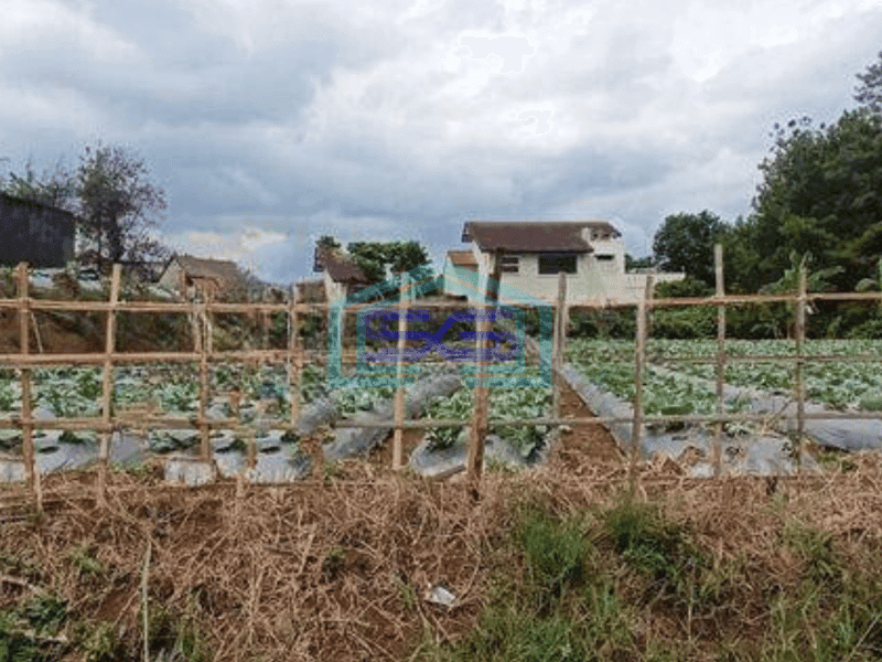 Dijual Kavling Lokasi Strategis di Mainroad Setiabudi Regency Bandung