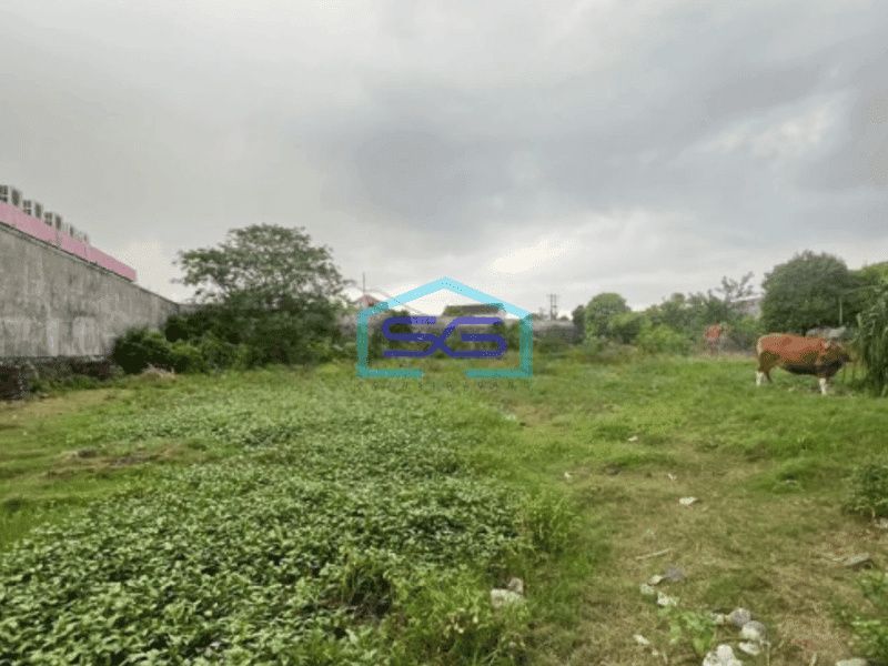 Disewakan Tanah 50 Are Denpasar Selatan Cocok gudang Dan Perumahan Mewah