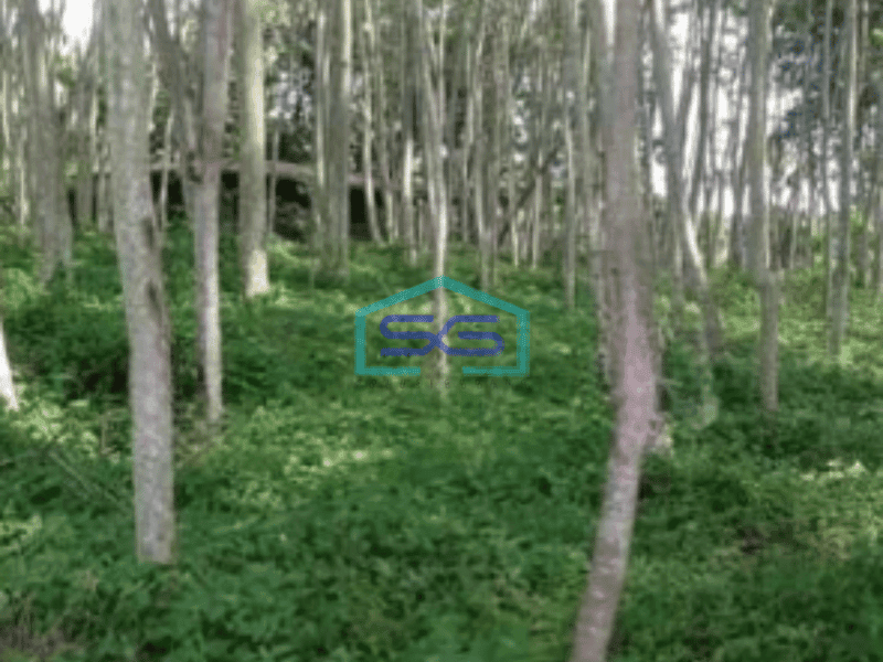 Dijual Tanah Lahan industri Karangjati Semarang 120000m2