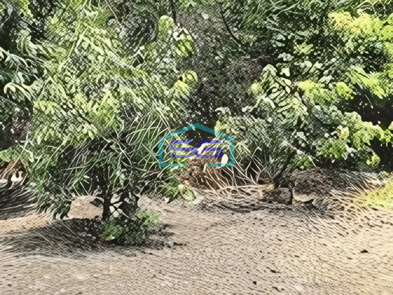 Dijual Tanah Pabrik Jl. Ahmad Yani, Gedangan Sidoarjo frontage Road Dekat Waru Surabaya