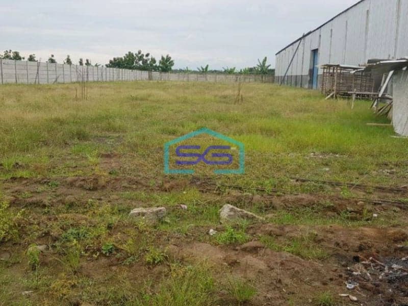 Disewakan Tanah Lokasi Demak Godong LT 3000 m²