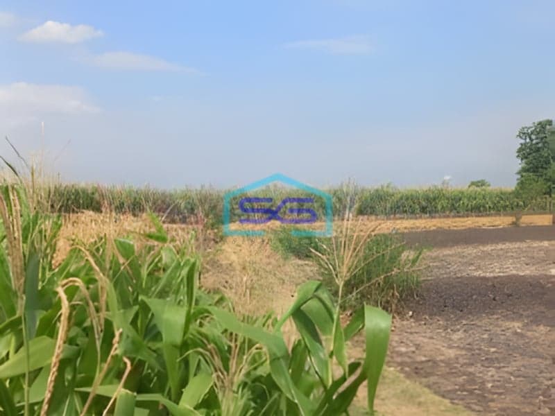 Dijual Lahan Tanah Zona Industri Lokasi Sumberlawang Sragen Jawa Tengah Luas Tanah 420000m2