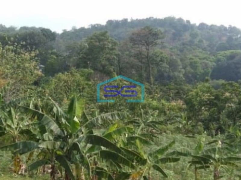 Dijual Tanah Jalan Raya Sumarecon Gn Geulis Sukaraja Bogor LT 14000m2