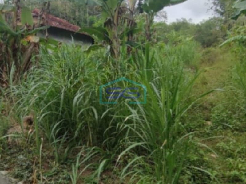Dijual Tanah Lokasi di Giripeni, Wates, Kulon Progo Yogyakarta LT 7431m2