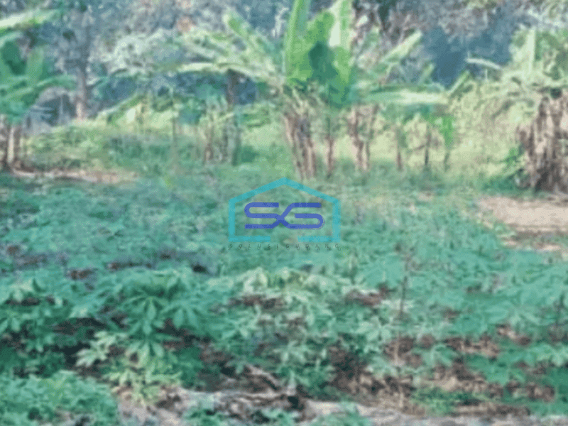 Dijual Tanah Luas 2570 m² Lokasi Sangat Strategis di Legok Tangerang