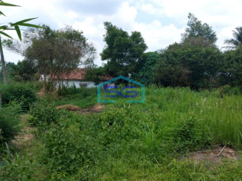 Dijual Tanah Seluas 6000 m² di Jalan Sungai Sedapat Palembang Luas 6000m2