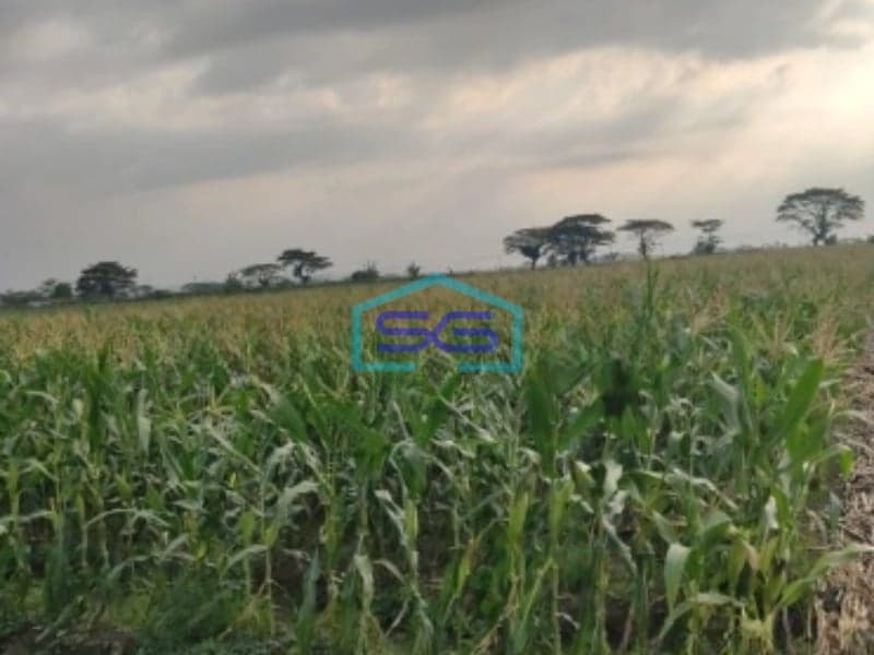 Dijual Tanah Lokasi Strategis SHM Luas 16500m² di Ciledug Cirebon