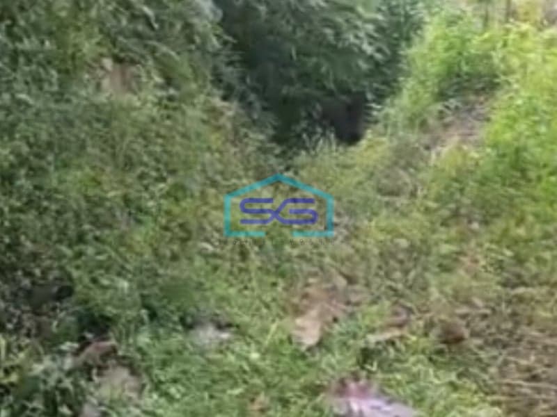 Dijual Tanah Lokasi Strategis Luas 150000 m² Lokasi Karanganyar Jawa Tengah