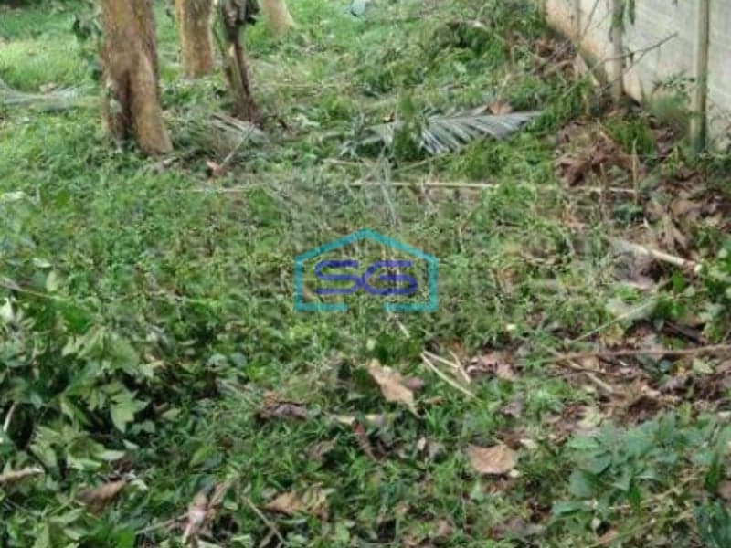 Dijual Tanah Kavling Murah Siap Bangun Di Curug Tangerang LT 4906m2