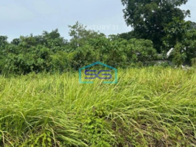 Dijual Tanah Murah Di Balaraja Barat Tangerang Strategis LT 7,5 Ha