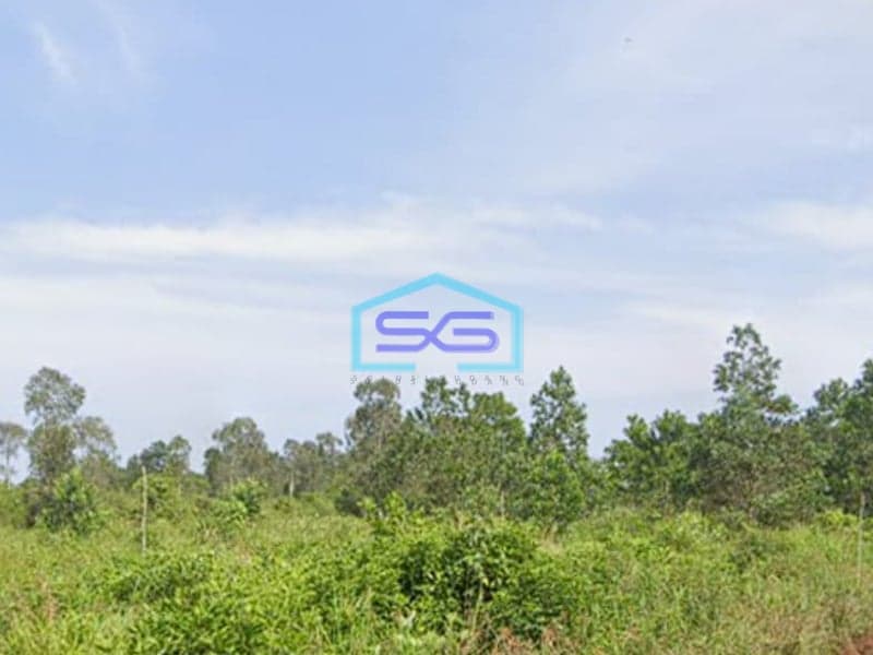 Dijual Tanah Luas 40.000 m² Tanah Subur di Kawasan Berkembang Mariana, Banyuasin Sumatera Selatan