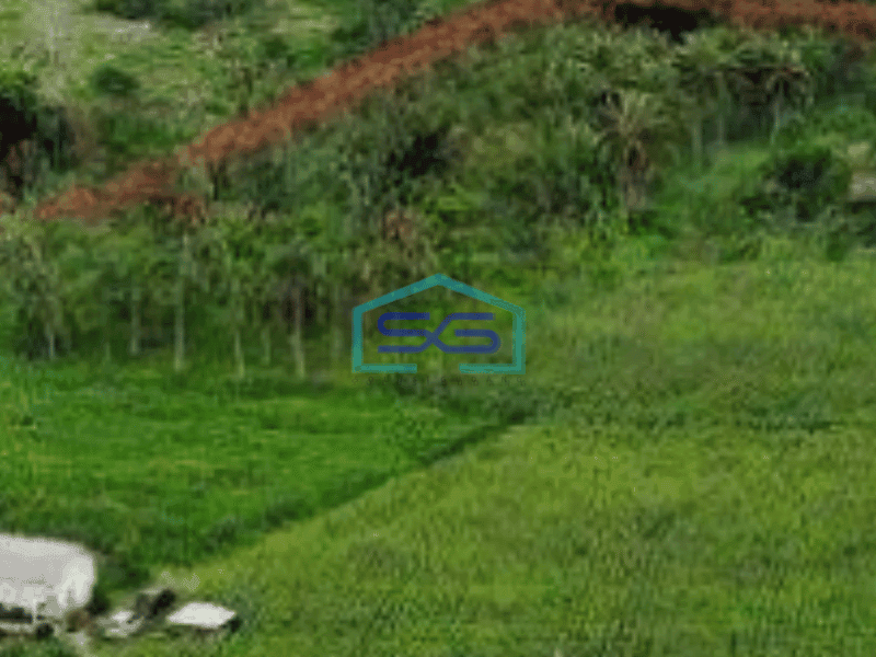 Dijual Tanah di Badung Bali Luas Tanah 60773 m² Lokasi Strategis