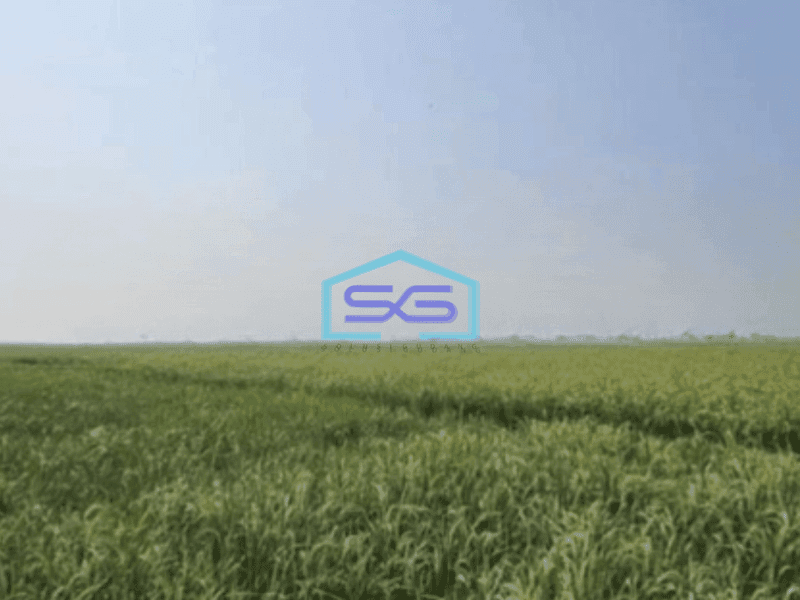 Dijual Tanah Luas 78000 m² di Mauk Tangerang