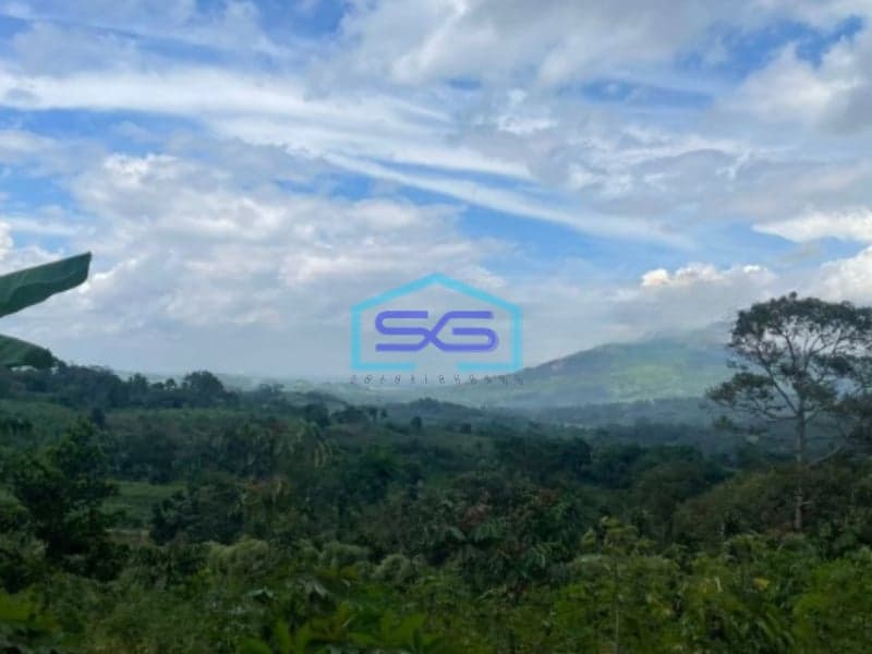 Dijual Tanah Desa Cibadak Sukamakmur Jongol Bogor SHM Luas 3500m2