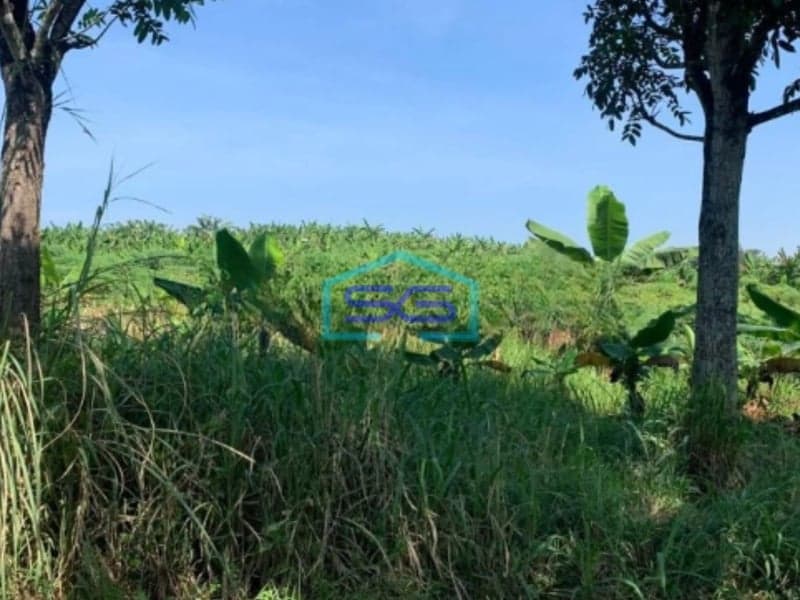 Dijual Tanah di Pusat Kota Cianjur Lokasi Strategis Jalan Lebar LT 27000m2