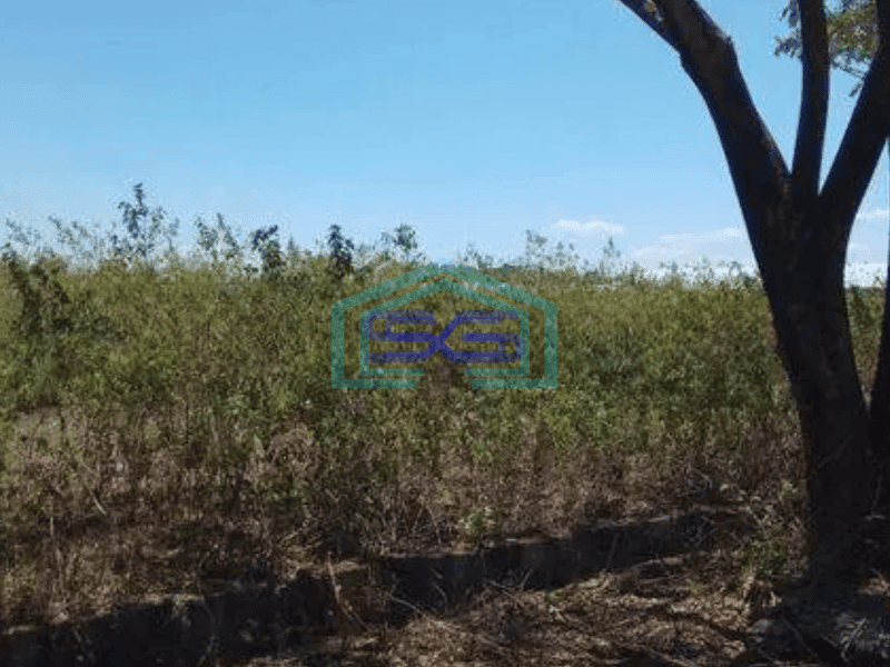 Dijual Tanah industri di Jl. Pattene 10000 m²