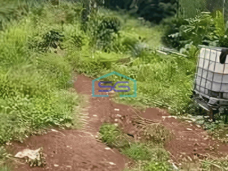 Dijual Tanah Lokasi Strategis di Malingping Gunung Kencana Lebak Banten LT 10136m2
