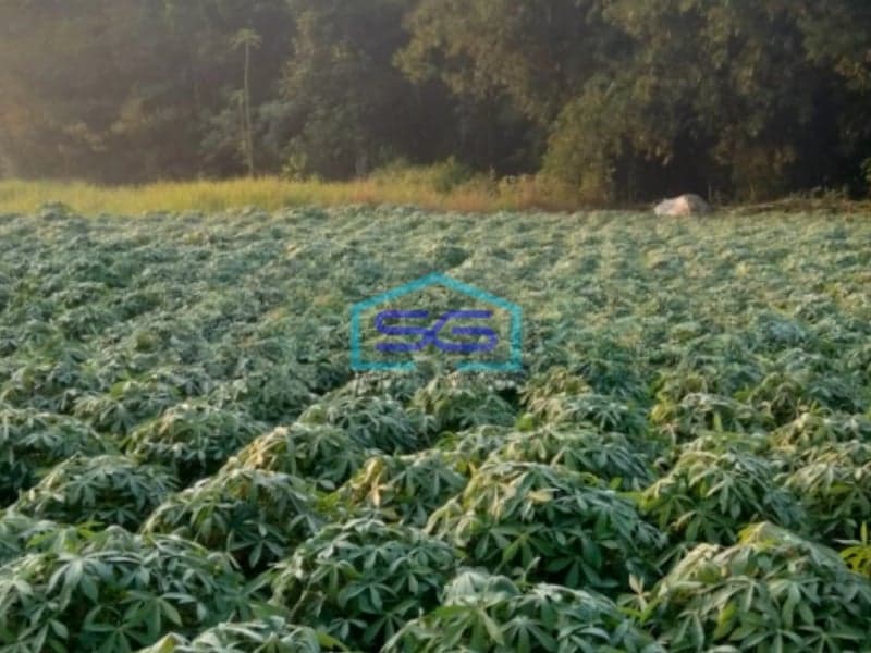 Dijual Tanah Lokasi di Mekarsari Rumpin Bogor Luas Tanah 2800m2