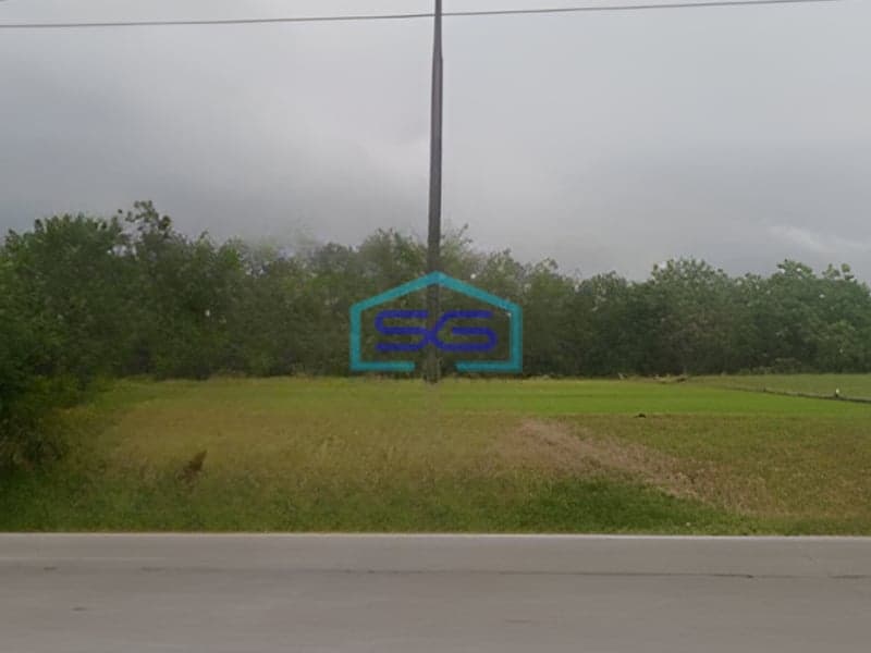 Dijual Tanah SHM LT 10445 m² di Jl. Raya Padangan Ngawi Bojonegoro Jawa Timur