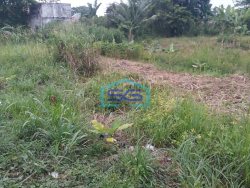 Dijual Tanah di Jalan Panca Usaha Ujung Palembang Lokasi Strategis Akses Mudah