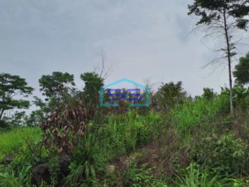 Dijual Tanah Leuwiang Lewisadeng Bogor Luas Tanah 120000m2