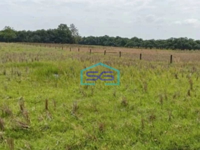 Dijual Tanah Kavling Industri di Subang Jawa Barat Pinggir Jalan Raya LT 300 Ha