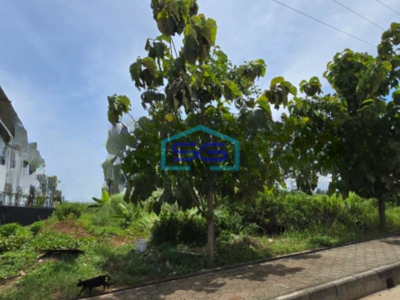 Dijual Tanah Lokasi Strategis di Sayung Demak Jawa Tengah Luas 24999 m²