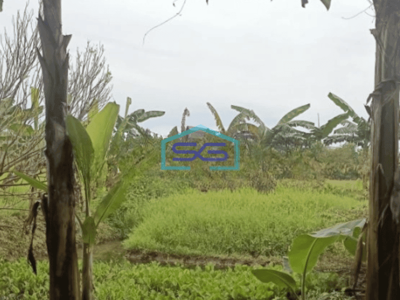 Dijual Kavling siap Bangun dan dekat lokasi gudang dan pabrik di Narogong Luas Tanah 9335 m²