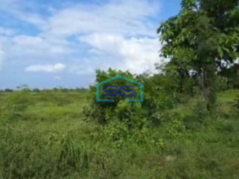 Dijual Tanah Bebas Banjir Luas Tanah 1570m2 di Daerah Gianyar Bali