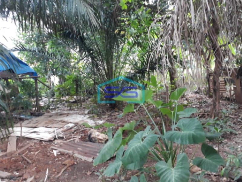 Dijual Tanah Keras Siap Bangun di Jl. Sapta Marga Bukit Sangkal Palembang LT 1300m2