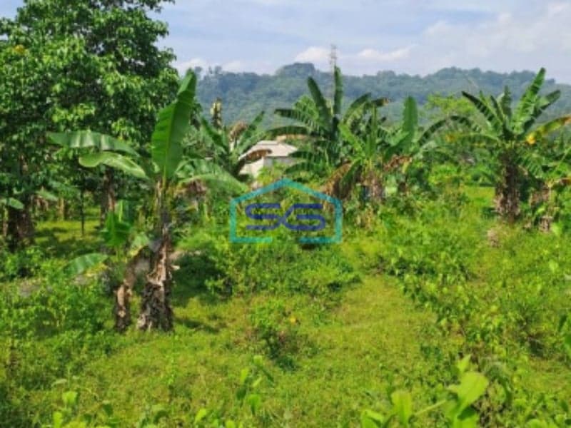 Dijual Tanah Rumpin Kabupaten Bogor Luas Tanah 12000m2